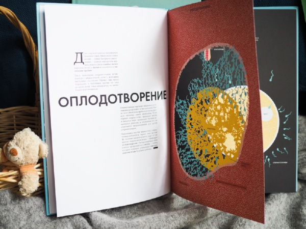 Волшебство рождения: большая книга с клапанами и ажурными иллюстрациями
